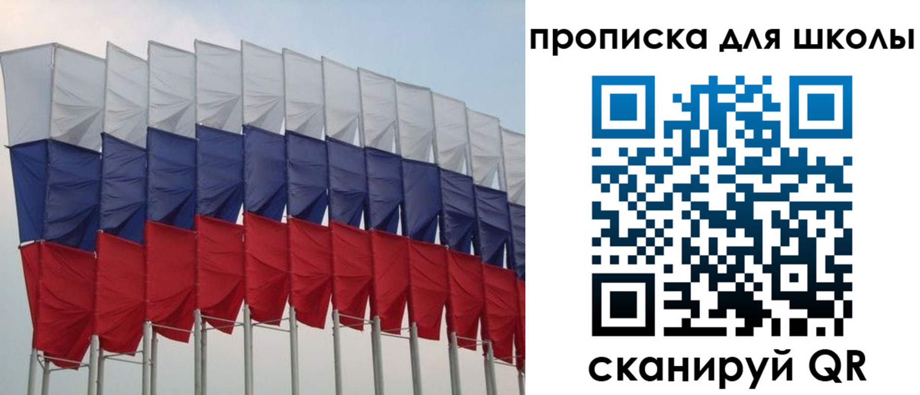 прописка для работы в Вязьме